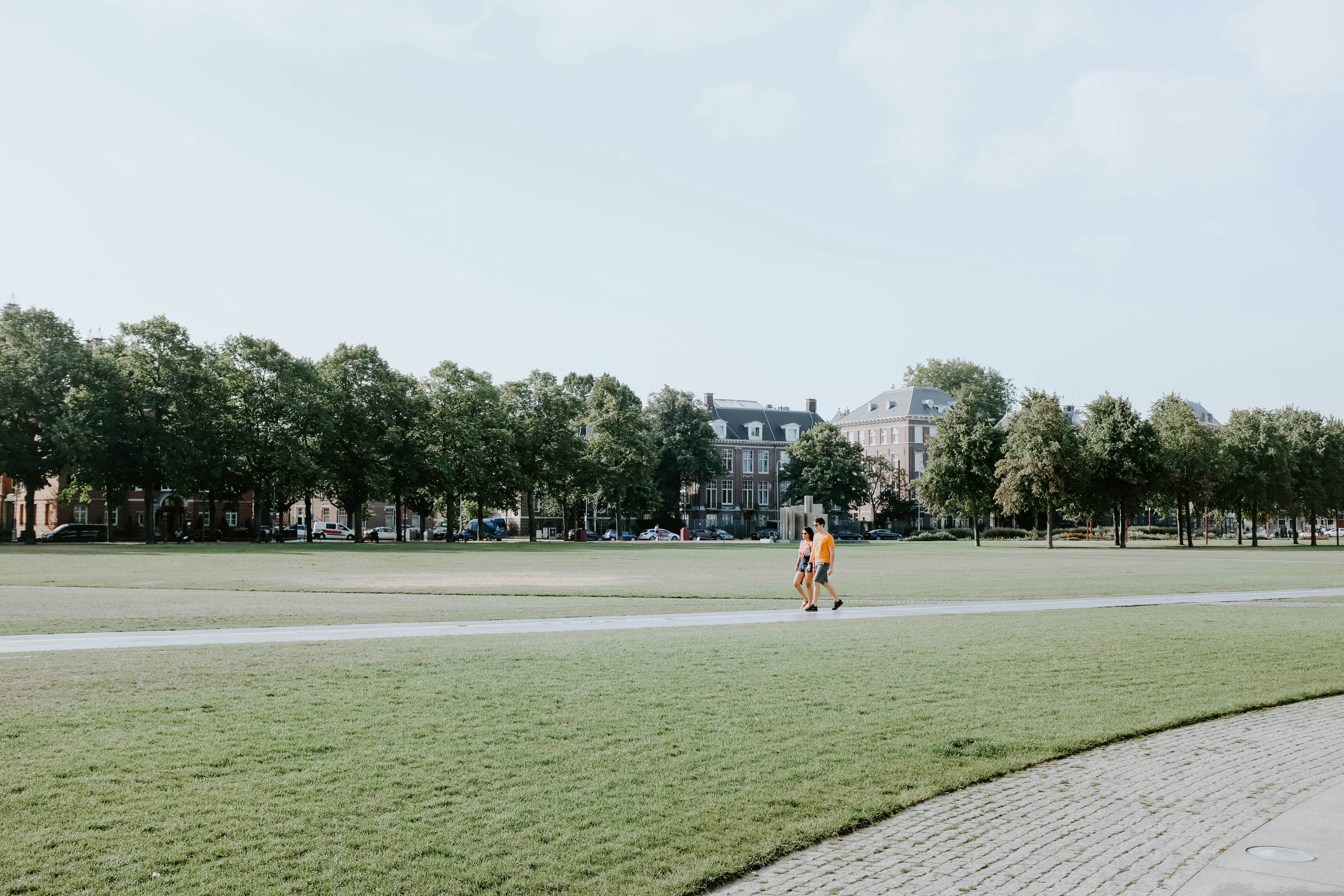 two person walking on park at daytime